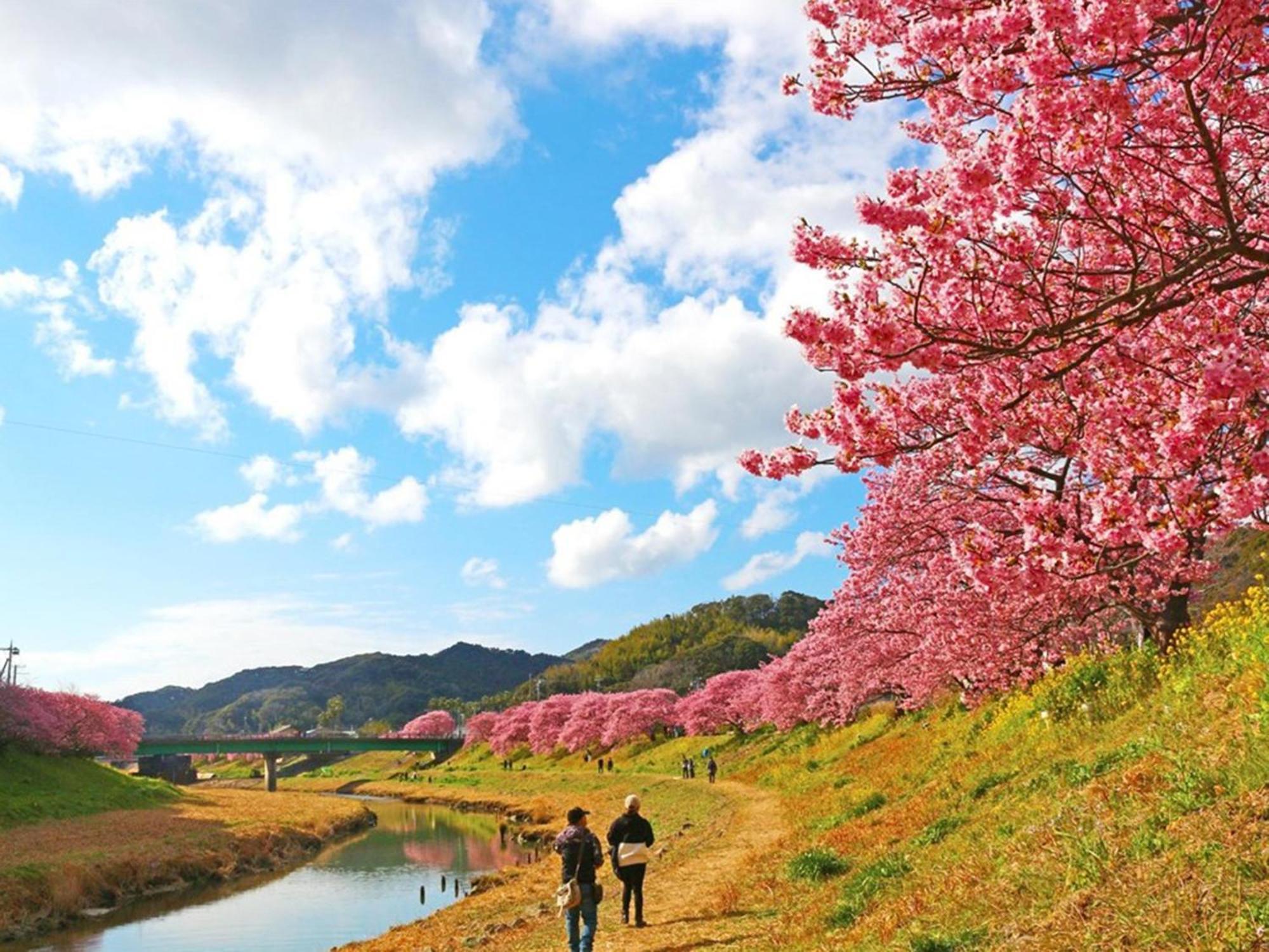 Kr バーズ ヴィラ伊豆白浜リゾート Shimoda (Shizuoka) Exterior foto